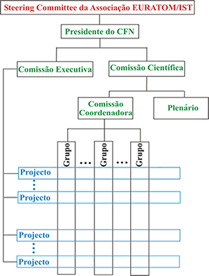 Organigrama do Centro de Fuso Nuclear